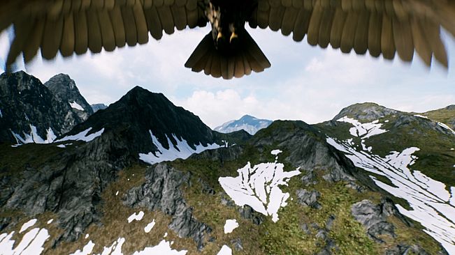 FREEDOM: Hunt Kill Fly