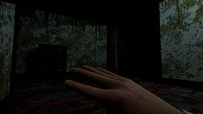 The Strange House