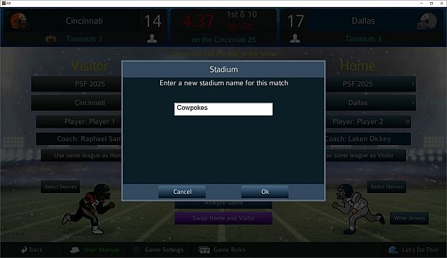 Pro Strategy Football 2025