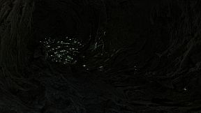 Sex with a Vampire ‍♂️❤️