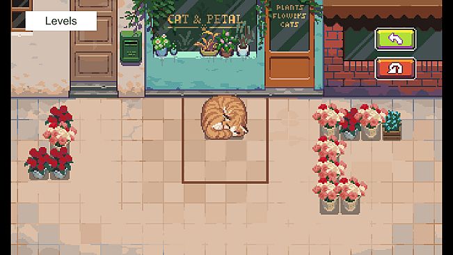 Too Many Cats in the Plant Shop!