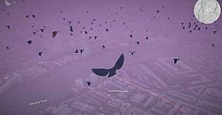 Pigeon: A Love Story