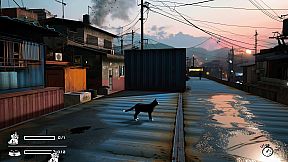 LITTLE CAT TINY STRAYS