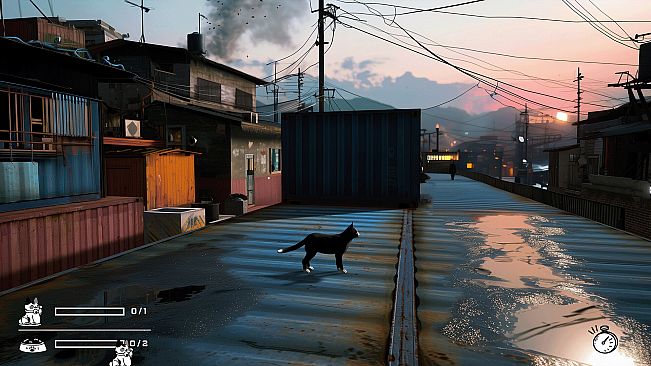 LITTLE CAT TINY STRAYS