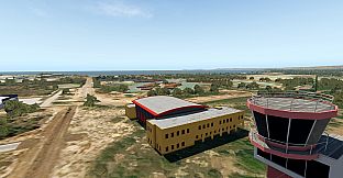 X-Plane 11 - Add-on: Aerosoft Airport Bonaire Flamingo