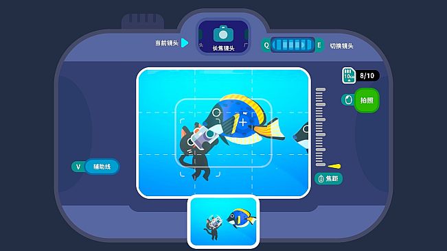 Snapurr: Underwater Cat Photographers
