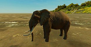 Animals for Clip maker