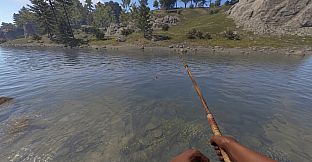 Survival Dimension