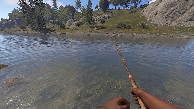 Survival Dimension