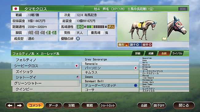 WP9 2022 １９８４年スタート スターホース購入権フルセット 全１１頭