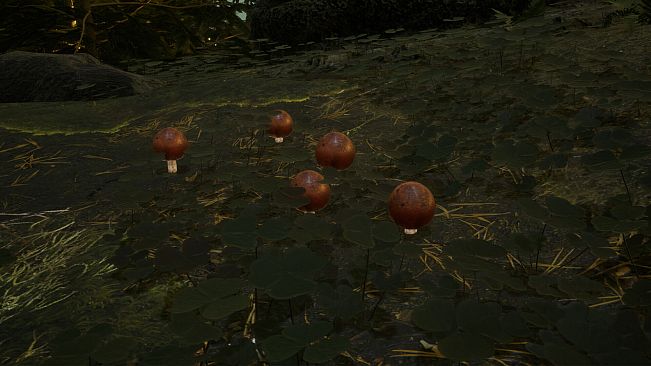 Mushroom Simulator Co-op
