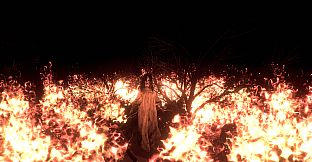 Wraith Rage: A Shadow's Choice