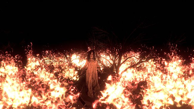 Wraith Rage: A Shadow's Choice