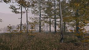 Pro Deer Hunting Out West