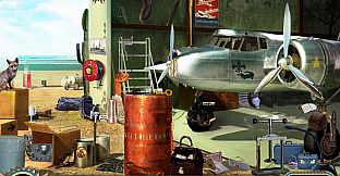 The Search for Amelia Earhart