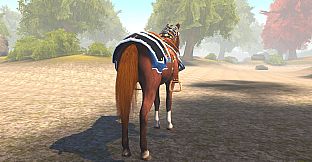 Horse Spirit Valley