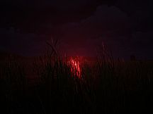 The Backrooms: Lost Tape