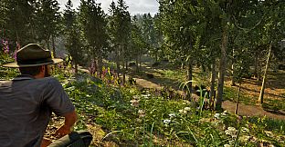 Park Ranger Simulator