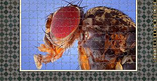 Jigsaw Puzzle Pack - Pixel Puzzles Ultimate: Variety Pack 26