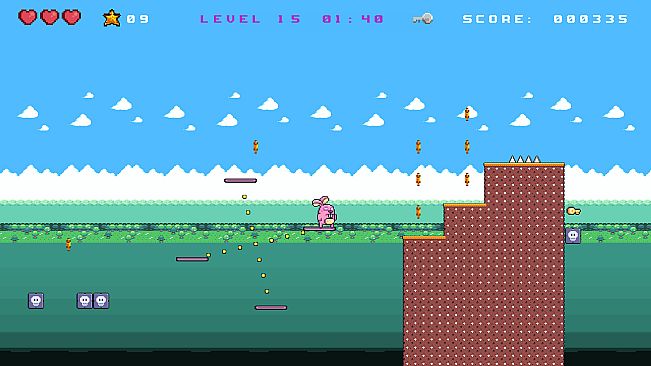 The Rabbit Crazy Adventure