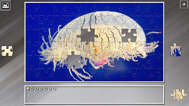 Super Jigsaw Puzzle: Generations - Jellyfishes