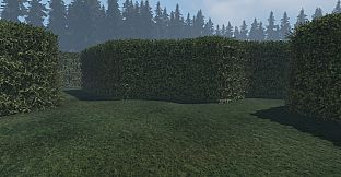 maze to the old castle