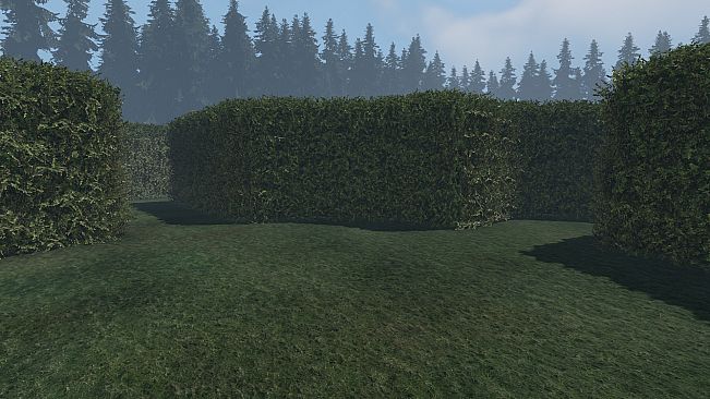 maze to the old castle