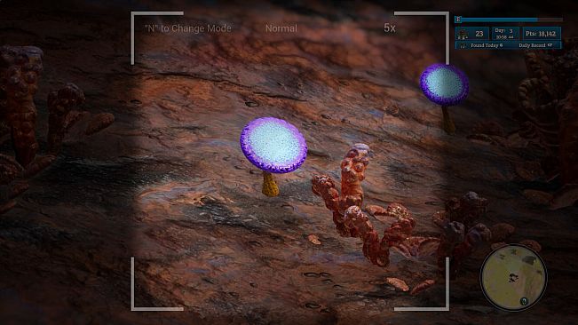 Morels: Out of this World