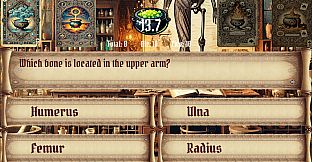 Quizrealms: From Stone to Steam