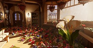 Where Flowers Gather