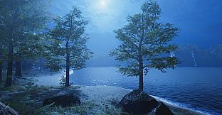 Secrets of a Campfire