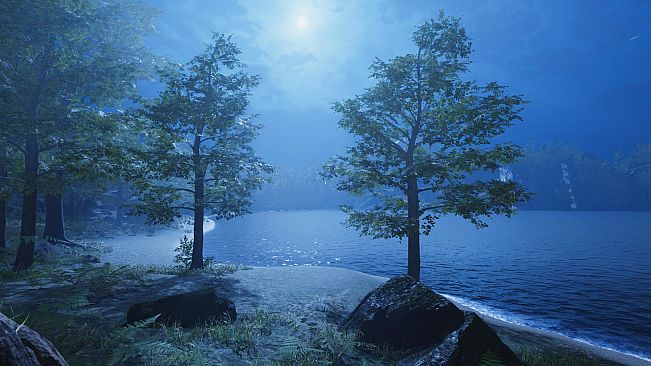 Secrets of a Campfire