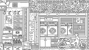 Cats Hidden in China