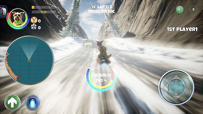PupRacers