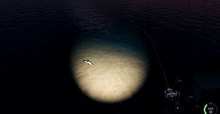 Rogoz Fishing