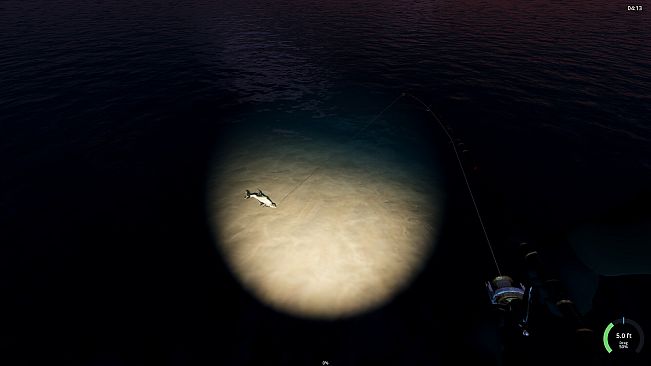 Rogoz Fishing