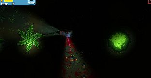 A Minor Pest Problem