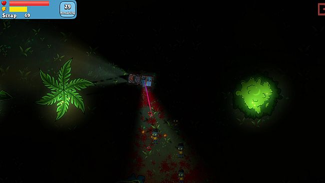 A Minor Pest Problem