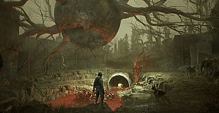 Salvation: Echoes of War