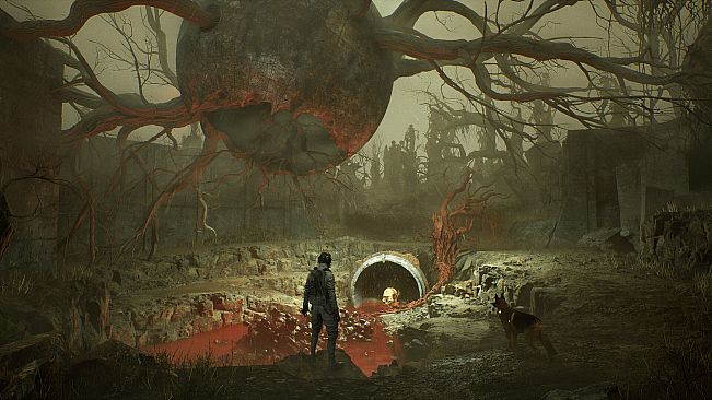 Salvation: Echoes of War