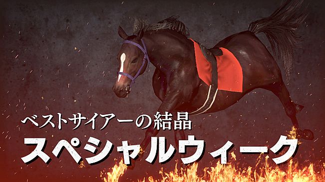 WP9 2022 花の９５年組 購入権セット 全４頭