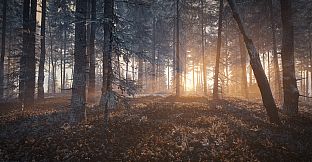 theHunter: Call of the Wild - Medved-Taiga