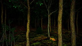 Aokigahara :The death forest