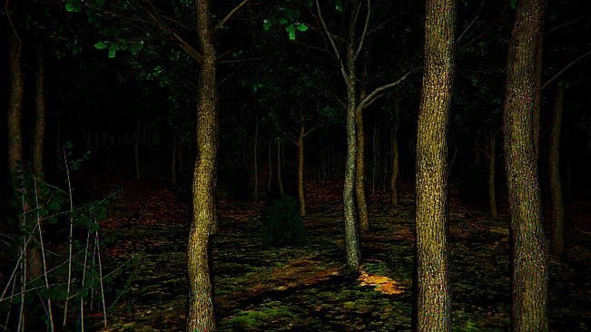 Aokigahara :The death forest