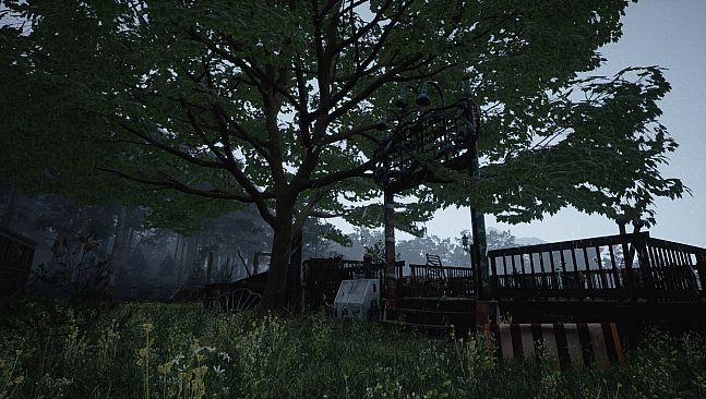 Why don't they laugh?