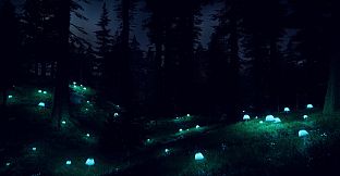 PROJECT D : Human Risen