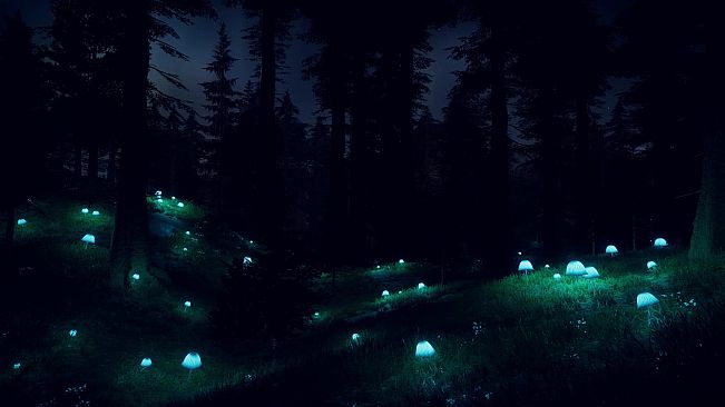 PROJECT D : Human Risen