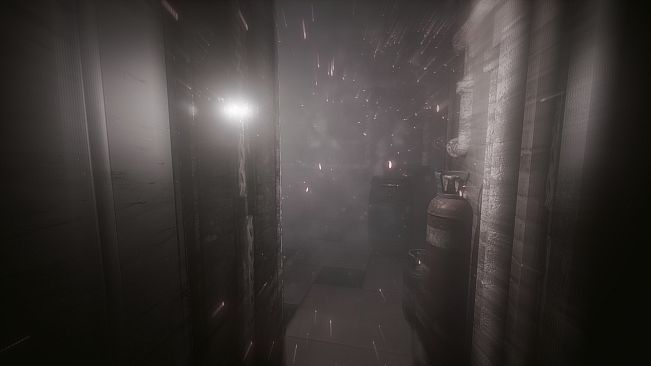 The Butterfly Sign: Human Error