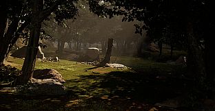 South America Gold Rush