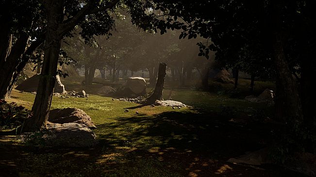 South America Gold Rush